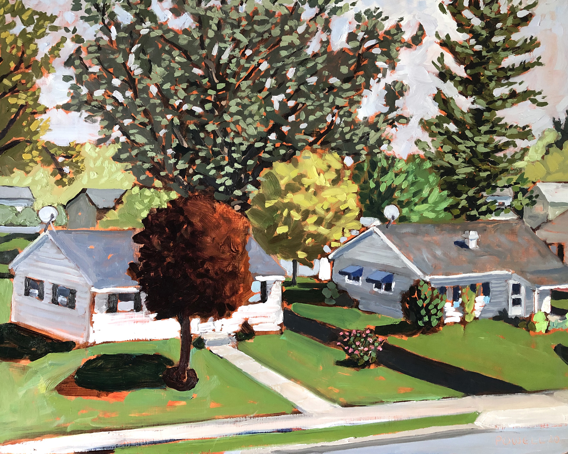 Norva Avenue - Late Summer